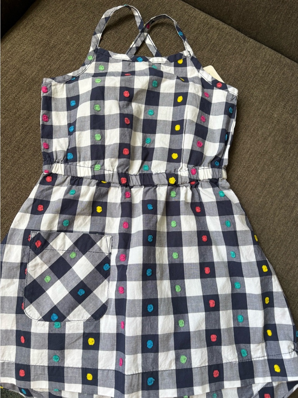 Hanna Andersson Navy and White Gingham Dress with Multicolor Embroidery